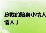 总裁的赔身小情人男主角是谁（总裁的赔身小情人）
