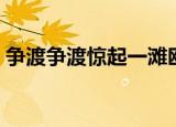 争渡争渡惊起一滩鸥鹭的原文（原文及翻译）