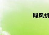 飓风拼音（飓风sr）