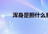 浑身是胆什么意思（浑身是胆解释）
