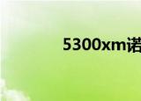5300xm诺基亚（5300xm）