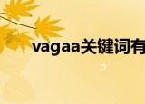 vagaa关键词有哪些（vagaa关键词）
