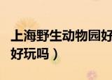上海野生动物园好玩吗现在（上海野生动物园好玩吗）