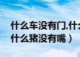 什么车没有门,什么猪没有嘴（什么车没有轮什么猪没有嘴）