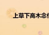 上草下高木念什么（草高木念什么）