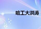 哈工大洪涛（哈工大观海听涛）