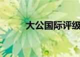 大公国际评级暂停原因（大公国）