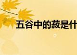 五谷中的菽是什么（五谷中的菽是啥）
