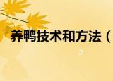 养鸭技术和方法（养鸭技术和方法有什么）