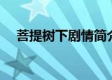 菩提树下剧情简介（菩提树下简单介绍）