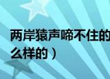 两岸猿声啼不住的下一句（原文以及翻译是怎么样的）