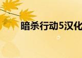 暗杀行动5汉化版下载（暗杀行动5）
