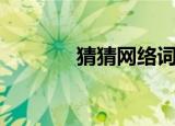 猜猜网络词啥意思（猜猜网）