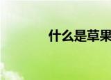 什么是草果（草果简单介绍）
