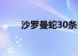 沙罗曼蛇30条命口诀（沙罗曼蛇3）
