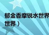 郁金香摩锐水世界现在营业吗（郁金香摩锐水世界）