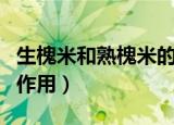 生槐米和熟槐米的功效与作用（槐米的功效与作用）