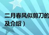 二月春风似剪刀的似是什么意思（该句诗出处及介绍）