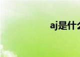 aj是什么（aj的资料）