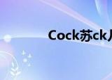Cock苏ck儿（cocksucker）