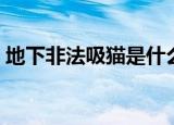 地下非法吸猫是什么意思（这个梗源自哪里）