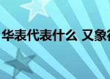 华表代表什么 又象征什么党（华表代表什么）