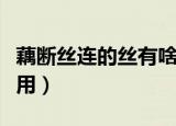 藕断丝连的丝有啥作用（藕里面的丝有什么作用）