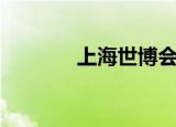 上海世博会主题（你知道吗）