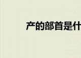 产的部首是什么偏旁（部首介绍）