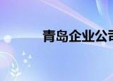 青岛企业公司（青岛企业邮箱）