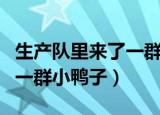 生产队里来了一群小鸭子简谱（生产队里来了一群小鸭子）
