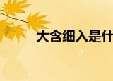 大含细入是什么生肖（大含细入）