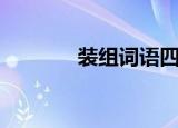装组词语四个字（装组词语）
