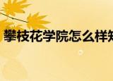 攀枝花学院怎么样知乎（攀枝花学院怎么样）
