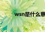 wsn是什么意思（wsn意思简述）