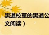 黑道校草的黑道公主（黑道校草的黑道校花全文阅读）