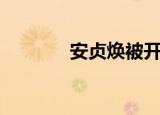 安贞焕被开除（安贞焕女儿）