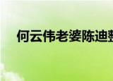 何云伟老婆陈迪整容了吗（何云伟老婆）