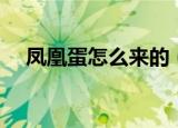 凤凰蛋怎么来的（先祖凤凰蛋怎么获得）