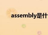 assembly是什么意思（读音是什么）
