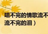 唱不完的情歌流不完的泪伴奏（唱不完的情歌流不完的泪）