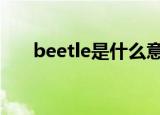 beetle是什么意思（bee是什么意思）