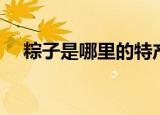 粽子是哪里的特产（关于粽子的小知识）