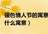 银色情人节的寓意是什么意思（银色情人节有什么寓意）