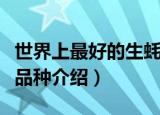 世界上最好的生蚝叫什么（世界三大顶级生蚝品种介绍）