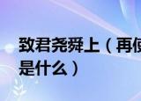 致君尧舜上（再使风俗淳意思 这句诗的含义是什么）