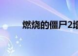 燃烧的僵尸2增强版（燃烧的僵尸）