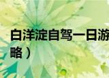 白洋淀自驾一日游路线（白洋淀自驾一日游攻略）