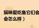 猫咪爱吃鱼它们会被鱼刺卡到吗（猫被刺卡到会怎么样）