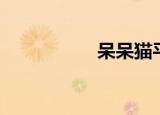 呆呆猫平台（呆鱼网）